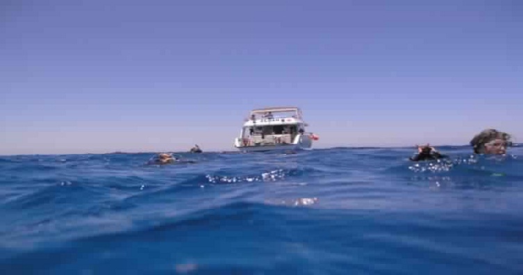 Boat trip to the Qulaan Islands-Activities and excursions in Marsa Ala