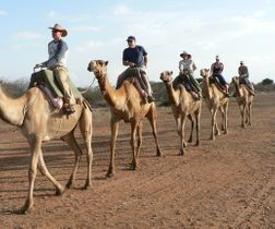 Desert Safari Marsa Alam-with Jeep,Quad Biking,Camel Ride,BBQ-Desert T
