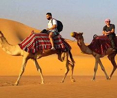 safari with jeep quad, camel